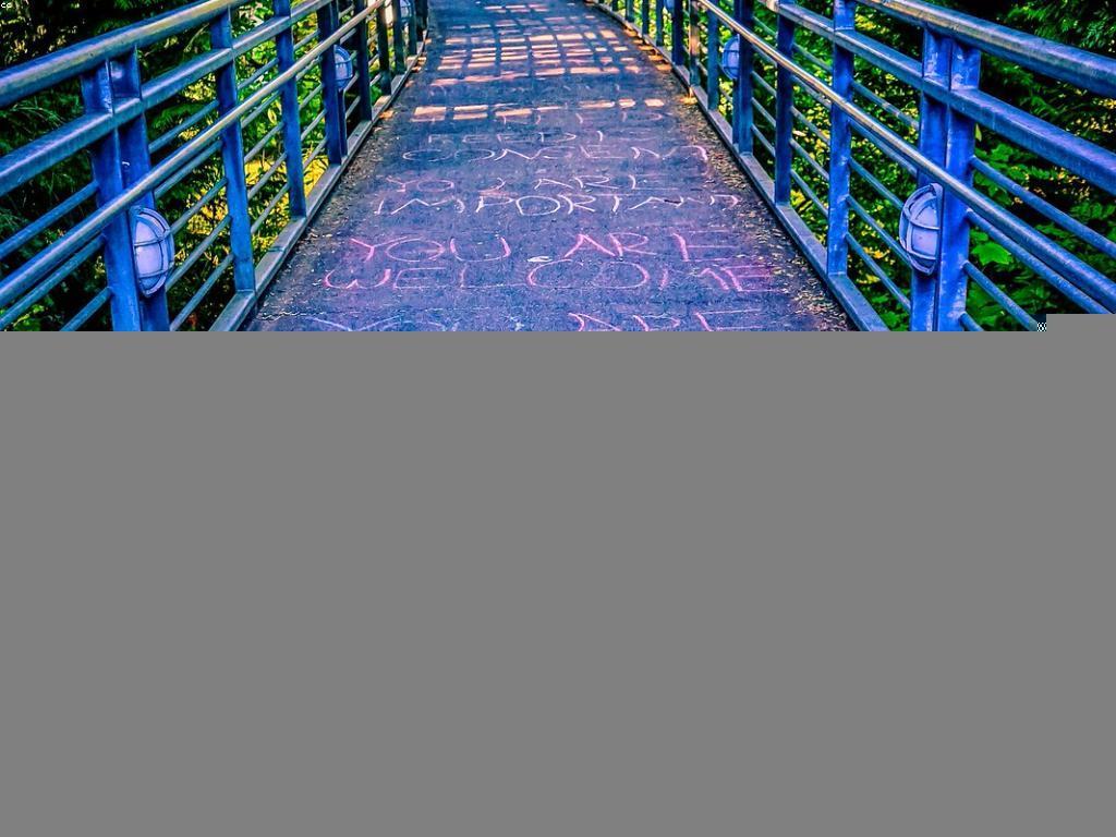 ការពង្រឹងមិត្តភាពដោយការគាំទ្រ