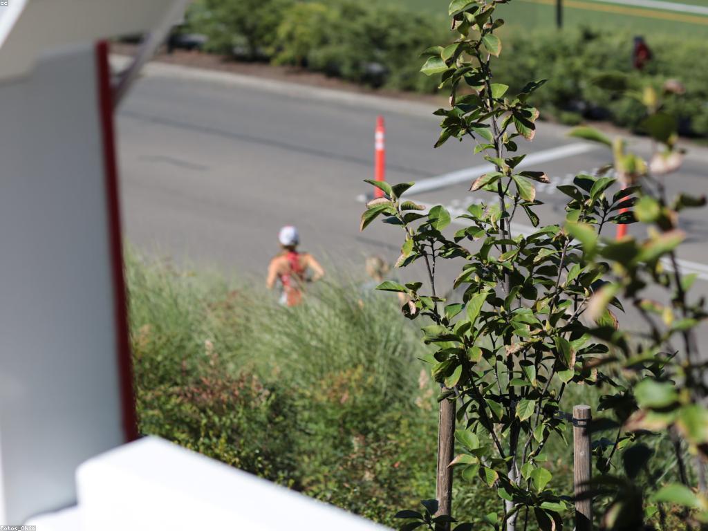 អត្ថប្រយោជន៍នៃការផ្តល់ជូនពិសេស